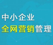 章丘网络公司简述常见网站流量数据统计软件